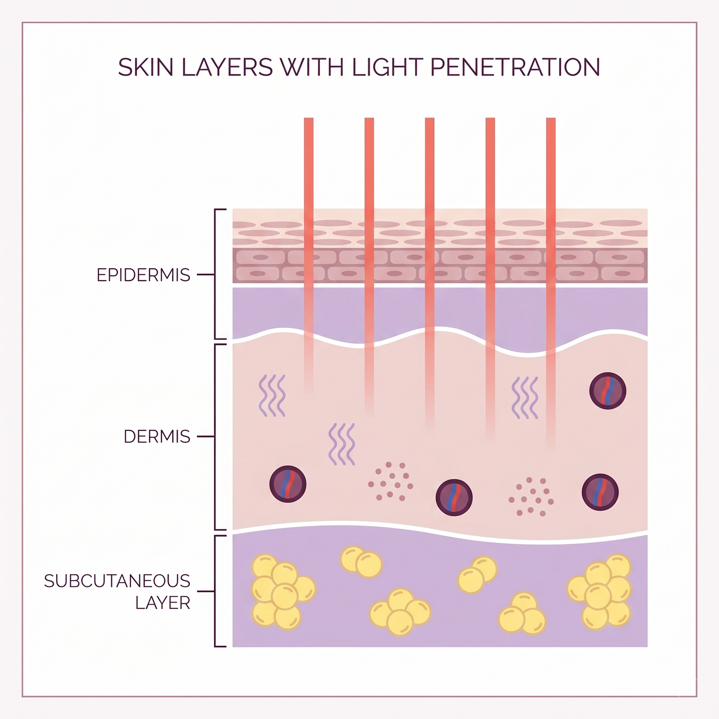 Bright Patches - Red Light Therapy & EMS